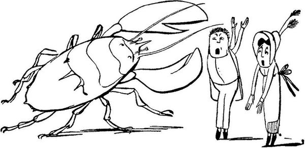 Эдвард Лир - Чистый nonsense (сборник)