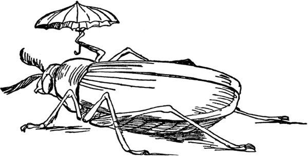 Эдвард Лир - Чистый nonsense (сборник)