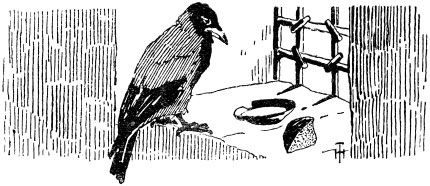 Александр Афанасьев - Народные русские сказки из собрания А. Н. Афанасьева