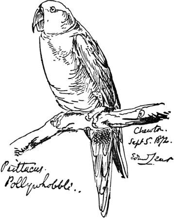 Эдвард Лир - Чистый nonsense (сборник)