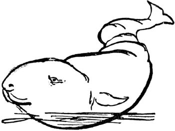 Эдвард Лир - Чистый nonsense (сборник)