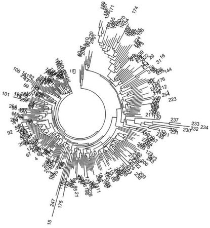 Анатолий Клёсов - Кому мешает ДНК-генеалогия?