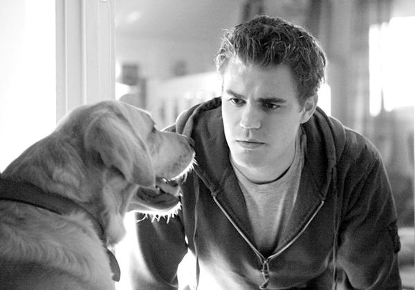 Елена Хаецкая - Дневники вампира