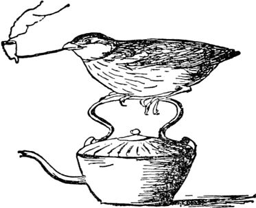 Эдвард Лир - Чистый nonsense (сборник)