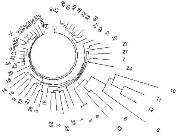 Анатолий Клёсов - Кому мешает ДНК-генеалогия?