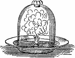 Майкл Фарадей - История свечи