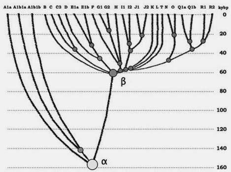 Анатолий Клёсов - Кому мешает ДНК-генеалогия?