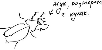 Александр Покровский - Тропик лейтенанта. Пиратское рондо