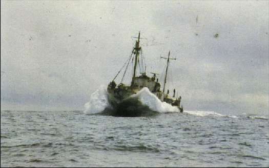 Карло Маури - Когда риск - это жизнь!