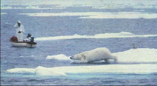 Карло Маури - Когда риск - это жизнь!