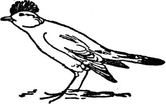 Эдвард Лир - Чистый nonsense (сборник)