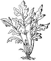 Марк Махлин, Людмила Солоницына - Аквариум в школе