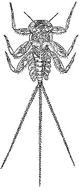 Марк Махлин, Людмила Солоницына - Аквариум в школе