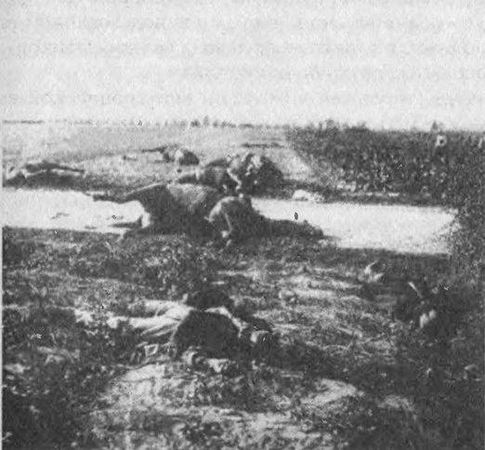 Алексей Ардашев - Великая окопная война. Позиционная бойня Первой мировой