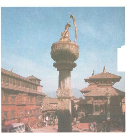 Бернгард Гржимек - От кобры до медведя гризли