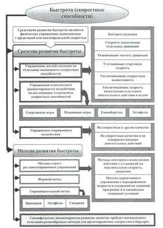 Евгений Головихин, Сергей Степанов - Теоретические и методические основы...