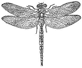 Марк Махлин, Людмила Солоницына - Аквариум в школе