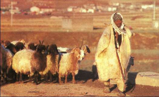 Карло Маури - Когда риск - это жизнь!