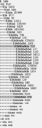 Анатолий Клёсов - Кому мешает ДНК-генеалогия?