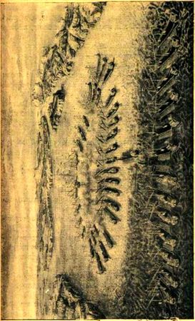 Орест Ровинский, Николай Дмитриев - Битва при Гангуте