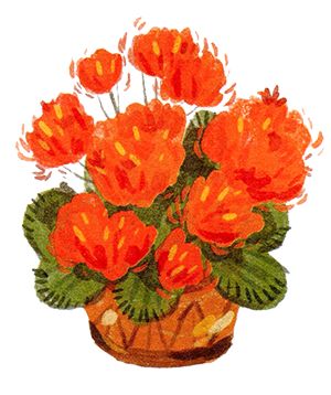 Елена Ожич - Мой папа - мальчик