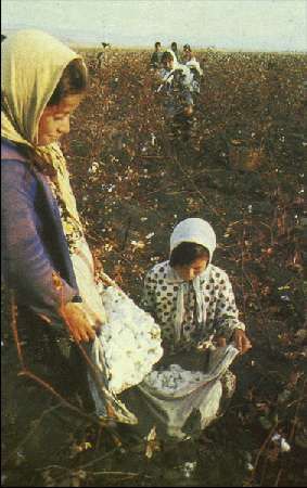 Карло Маури - Когда риск - это жизнь!