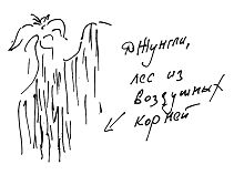 Александр Покровский - Тропик лейтенанта. Пиратское рондо