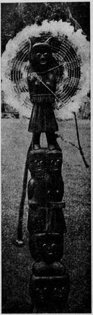 Ева Воляк - Архипелаг мореплавателей