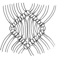 Светлана Ращупкина - Макраме для начинающих. Лучшие и оригинальные модели