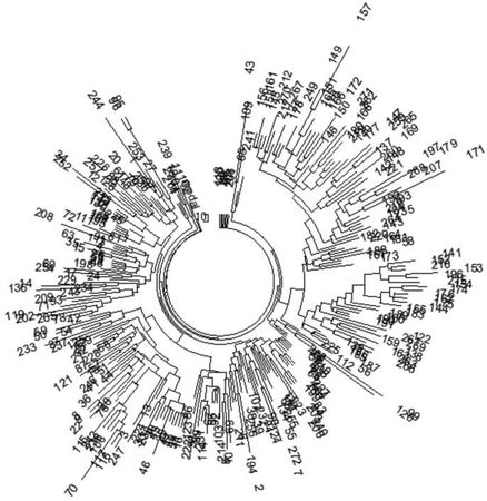 Анатолий Клёсов - Кому мешает ДНК-генеалогия?