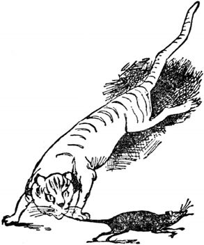 Эдвард Лир - Чистый nonsense (сборник)