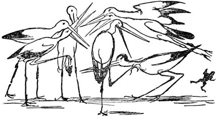 Эдвард Лир - Чистый nonsense (сборник)