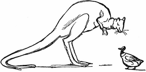 Эдвард Лир - Чистый nonsense (сборник)