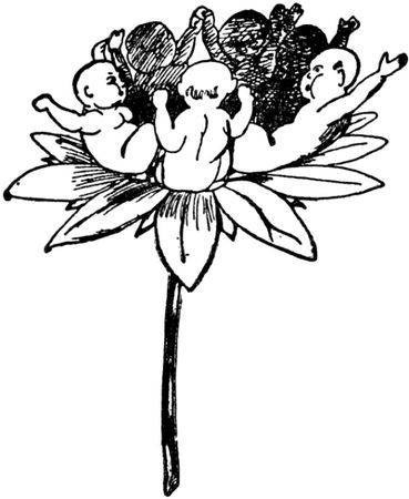 Эдвард Лир - Чистый nonsense (сборник)