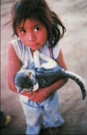 Карло Маури - Когда риск - это жизнь!