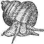 Марк Махлин, Людмила Солоницына - Аквариум в школе