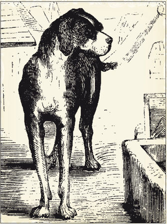 Сборник - Американские крылатые выражения