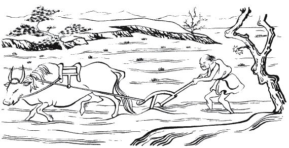 Чарльз Данн - Традиционная Япония. Быт, религия, культура