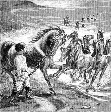 Александр Афанасьев - Народные русские сказки из собрания А. Н. Афанасьева