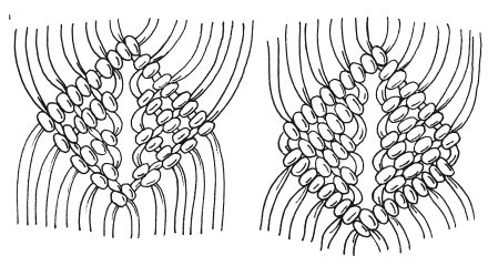 Светлана Ращупкина - Макраме для начинающих. Лучшие и оригинальные модели