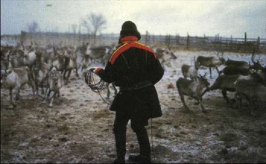 Карло Маури - Когда риск - это жизнь!