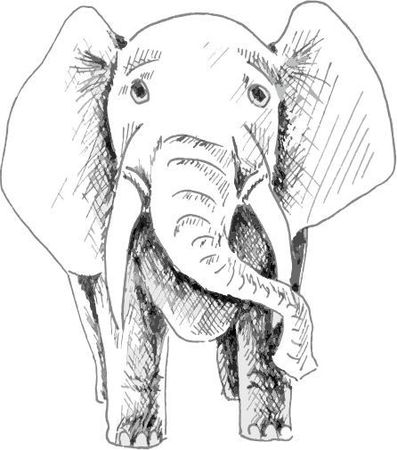 Алексей Климов - Медицинские запоминалки