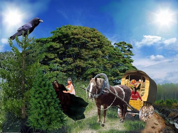 Саша Суздаль - Блуждающий Неф