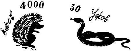 Юрий Федосюк - Что означает ваша фамилия?