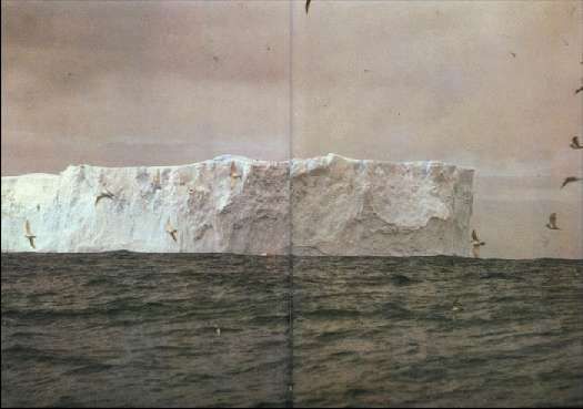 Карло Маури - Когда риск - это жизнь!