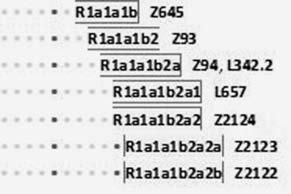 Анатолий Клёсов - Кому мешает ДНК-генеалогия?