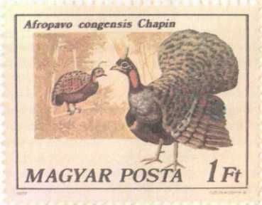 Бернгард Гржимек - От кобры до медведя гризли