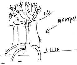 Александр Покровский - Тропик лейтенанта. Пиратское рондо