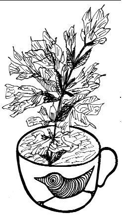 Юнна Мориц - По закону - привет почтальону