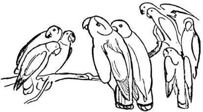 Эдвард Лир - Чистый nonsense (сборник)